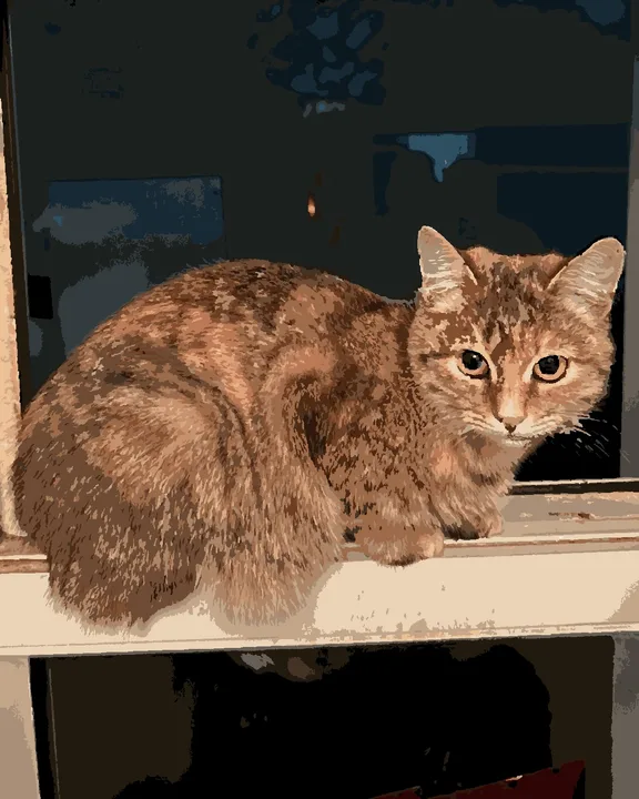 The same cat as a finished paint-by-numbers picture