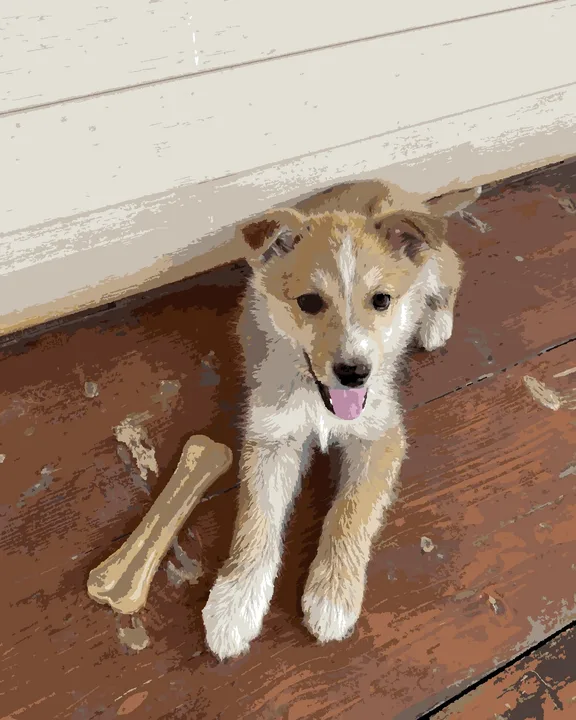 The same puppy as a finished paint-by-numbers picture