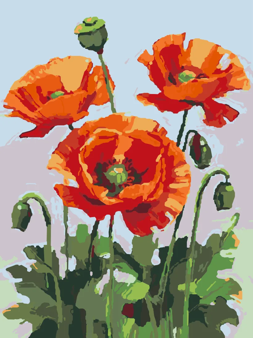 Poppies