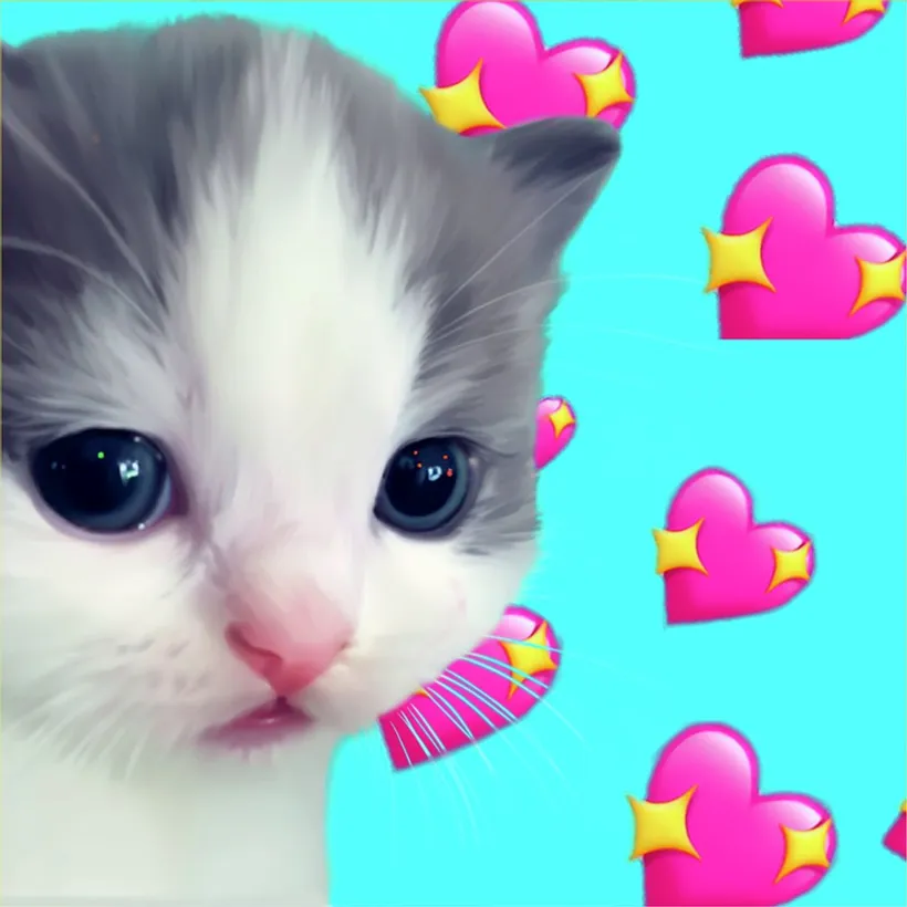Kitten in Hearts