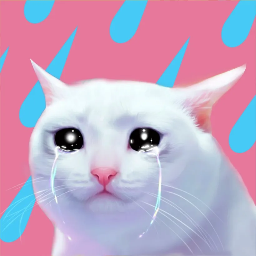 Gato llorando