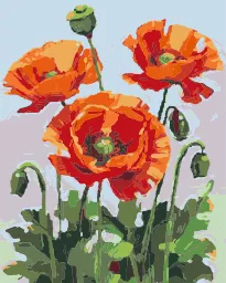 Poppies