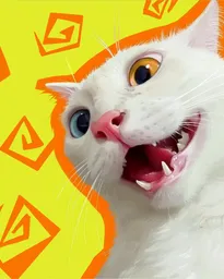 Freaked-Out Cat
