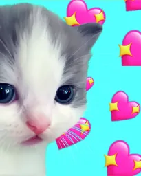 Kitten in Hearts