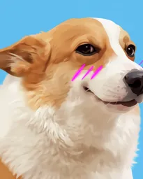 Blushing Corgi